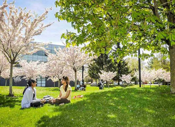 Lorem ipsum dolor sit amet, consecte adipiscing elit. Aenean