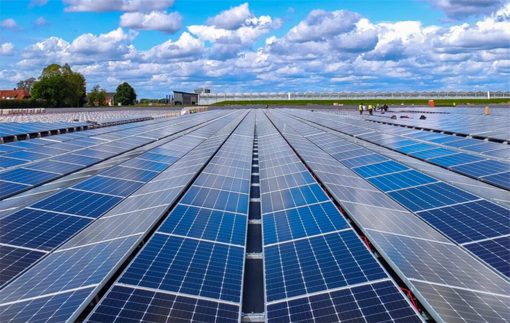 Lorem ipsum dolor sit amet, consecte adipiscing elit. Aenean